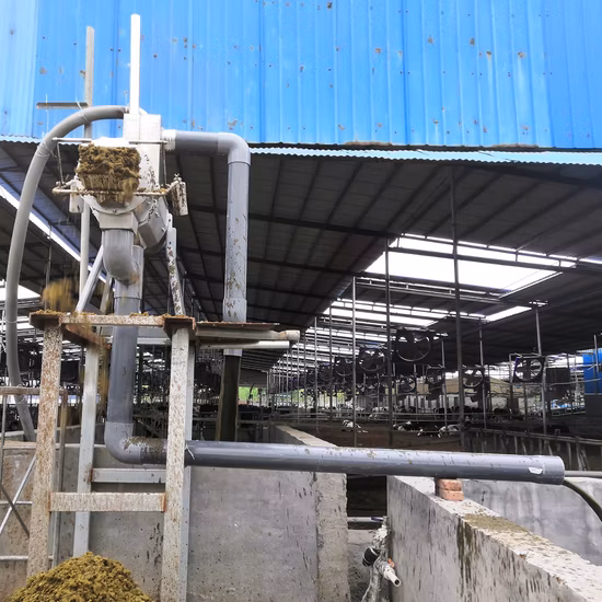 Cow Manure Slurry Screw Press Dewatering Machines Solid Liquid Separator