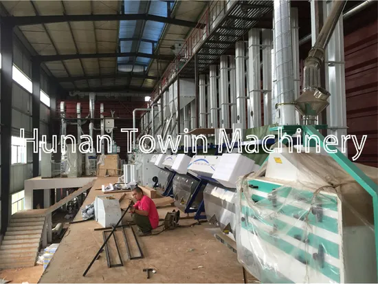 W Series Low Speed Bucket Elevator